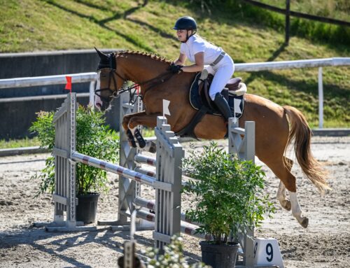 Der Sommerconcours 2022 war ein voller Erfolg!